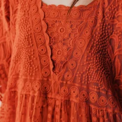 Vendor-unknown Dresses Reyna Sheer Embroidered Dress Ginger