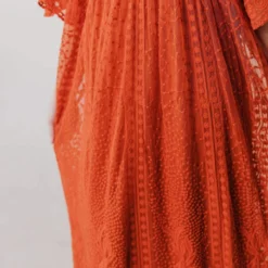 Vendor-unknown Dresses Reyna Sheer Embroidered Dress Ginger