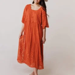 Vendor-unknown Dresses Reyna Sheer Embroidered Dress Ginger