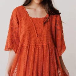 Vendor-unknown Dresses Reyna Sheer Embroidered Dress Ginger