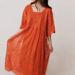 Vendor-unknown Dresses Reyna Sheer Embroidered Dress Ginger