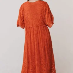 Vendor-unknown Dresses Reyna Sheer Embroidered Dress Ginger